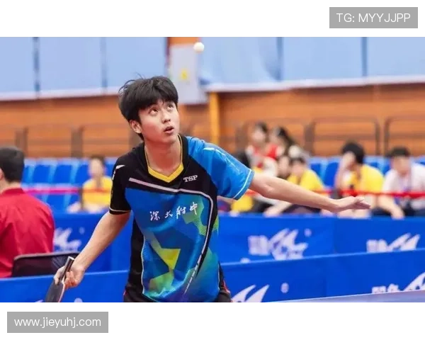 乒乓球意识排行榜揭晓深圳乒乓球队荣获第六名佳绩